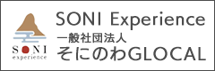 SONI Experience